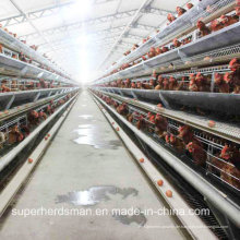 Automatische Hühnerkäfig Farm für Ebenen und Broiler